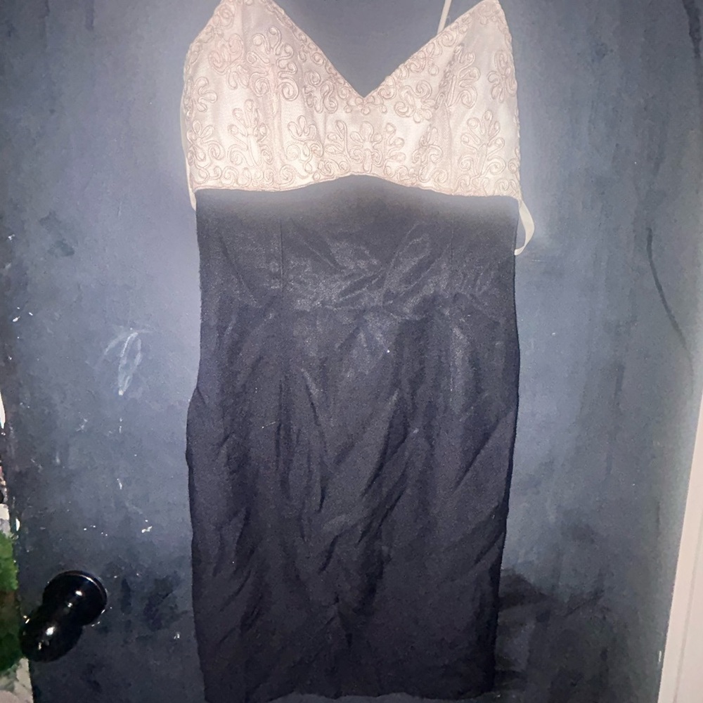 Jessica McClintock Black and Cream Embroidered Dress